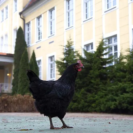 Parkhotel Schloss Wulkow