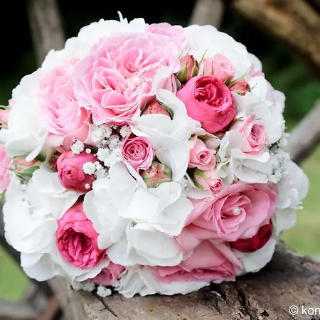 호텔 Parkhotel Schloss Wulkow