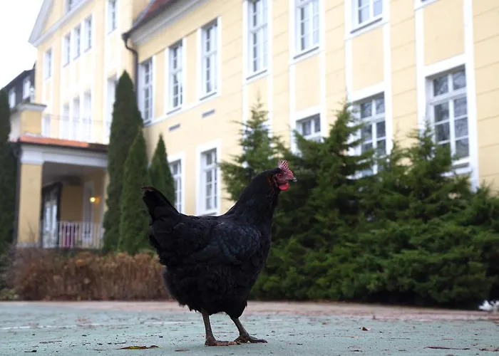 Parkhotel Schloss Wulkow